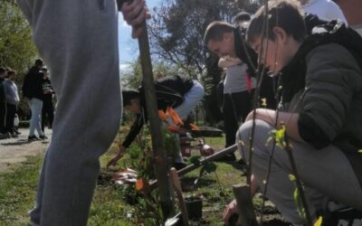 „Zelenim koracima do ljepšeg školskog dvorišta“